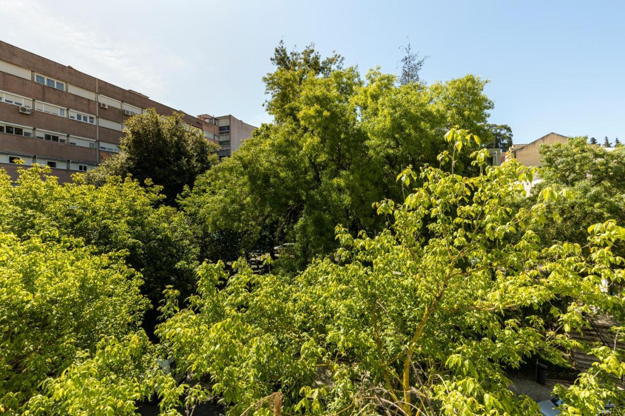 Comfy 3 Bedroom Apartment Campo De Ourique Lisboa Exterior foto